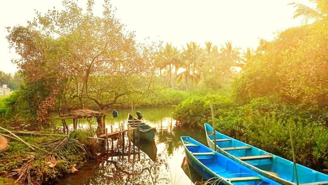 Shruthi'S Aarohi-Nature'S Retreat Mulappilangad Exterior photo