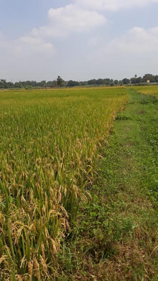 Shruthi'S Aarohi-Nature'S Retreat Mulappilangad Exterior photo