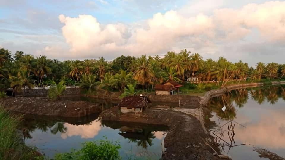 Shruthi'S Aarohi-Nature'S Retreat Mulappilangad Exterior photo