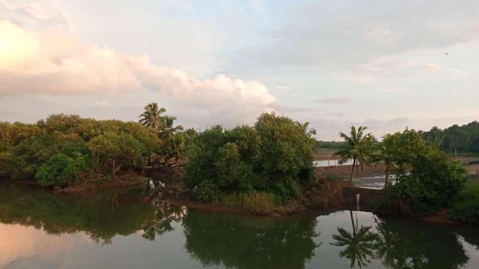 Shruthi'S Aarohi-Nature'S Retreat Mulappilangad Exterior photo